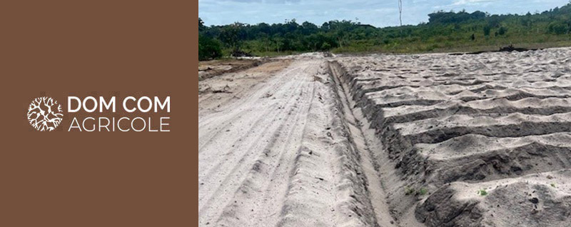 Financement Girardin Agricole de M. YANG BEE