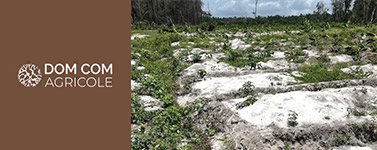 Financement Girardin Agricole de M. SIONG Bruno